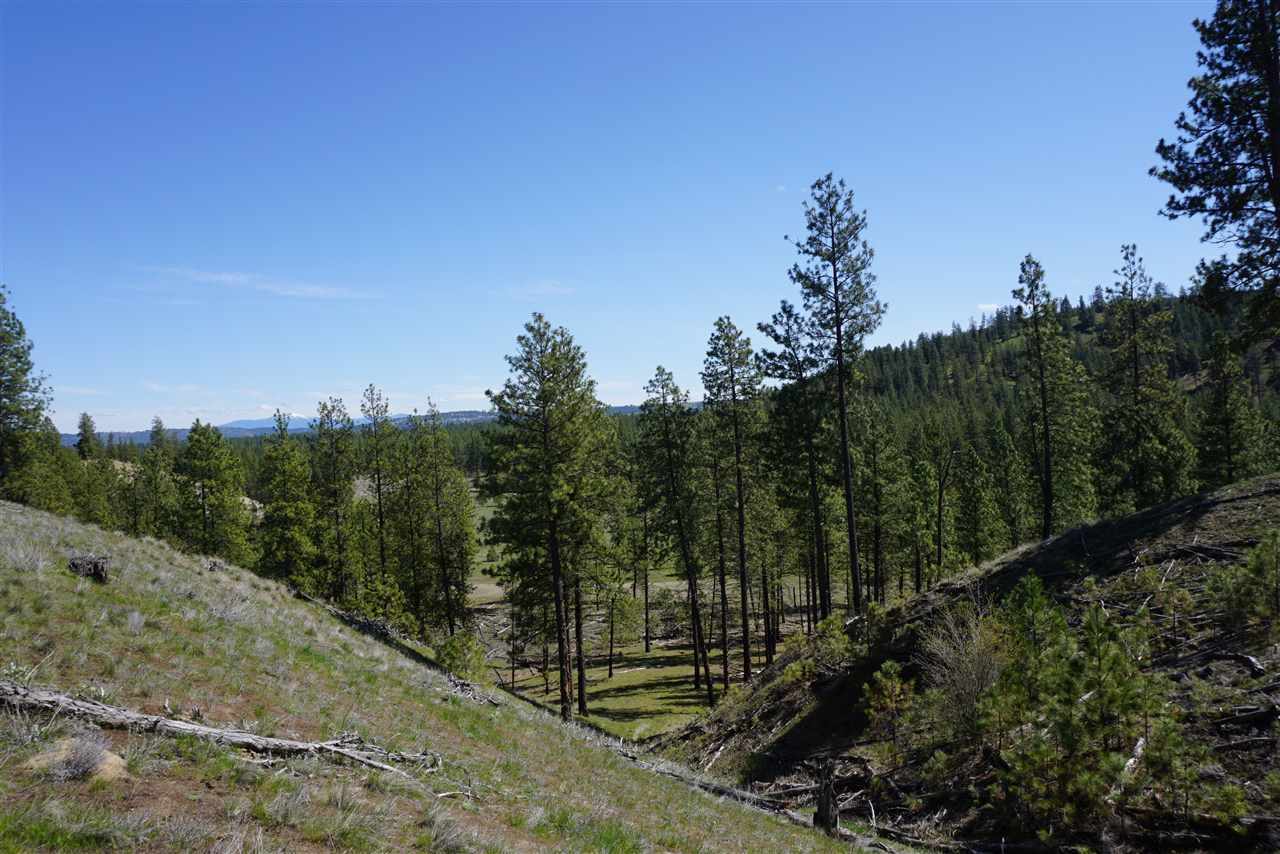Xx27 Xx27 Garfield Road Spokane, WA 99224 - Photo 13 of 20