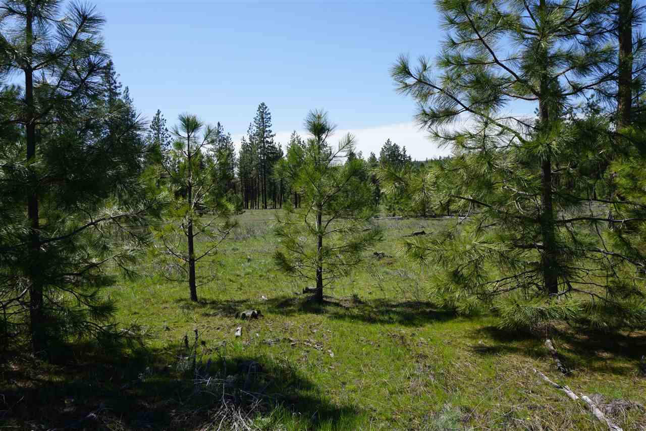 Xx27 Xx27 Garfield Road Spokane, WA 99224 - Photo 15 of 20