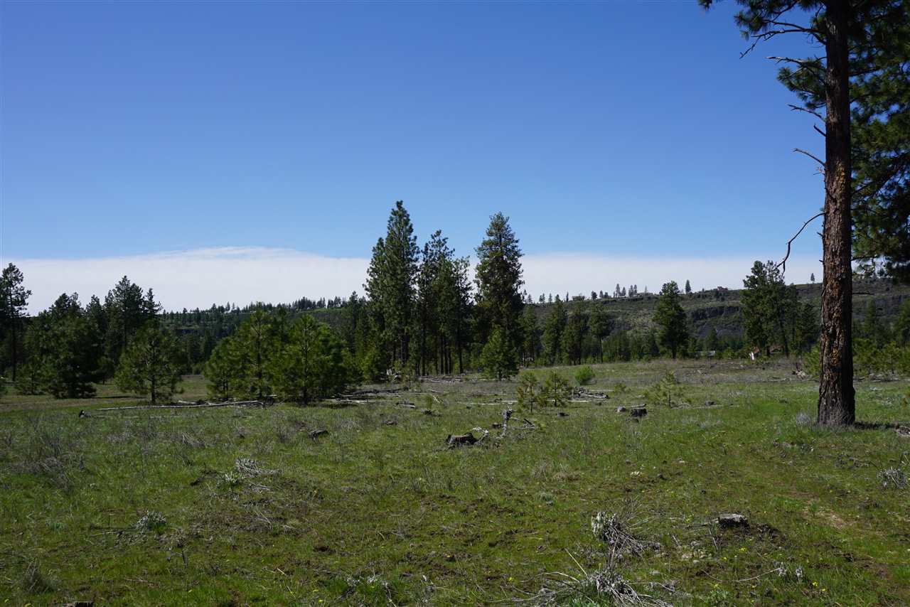 Xx27 Xx27 Garfield Road Spokane, WA 99224 - Photo 16 of 20