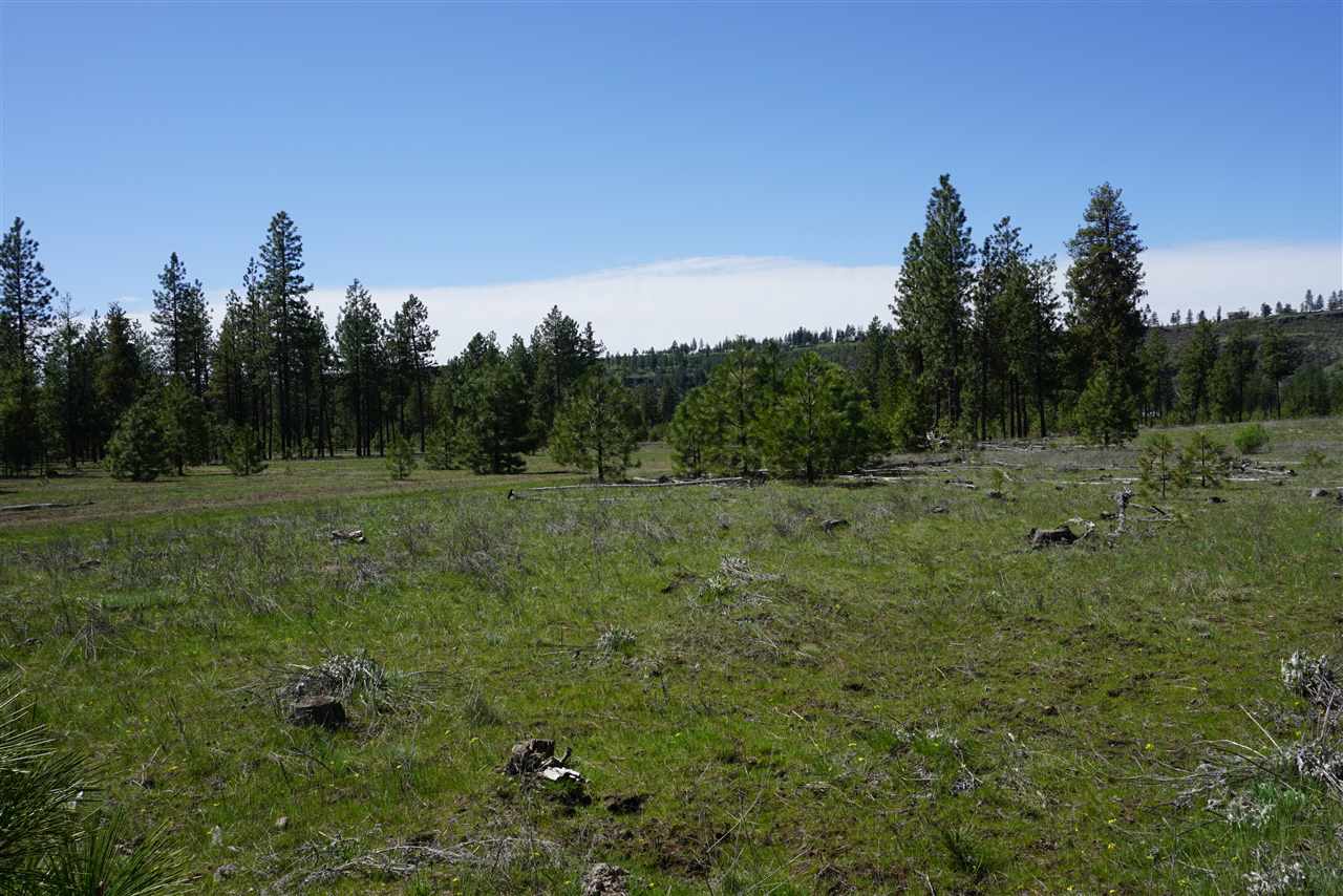 Xx27 Xx27 Garfield Road Spokane, WA 99224 - Photo 17 of 20