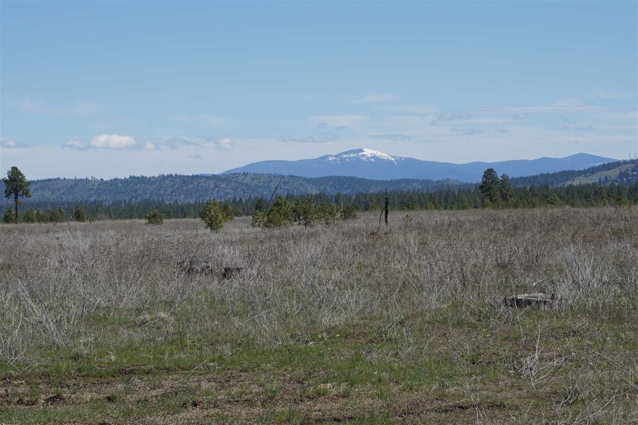 Xx27 Xx27 Garfield Road Spokane, WA 99224 - Photo 6 of 20