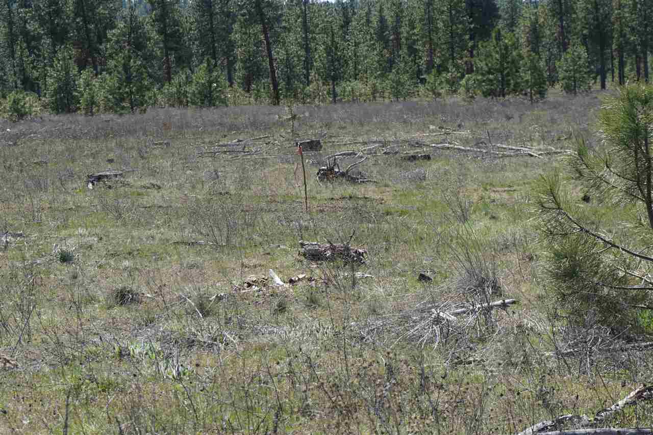 Xx27 Xx27 Garfield Road Spokane, WA 99224 - Photo 7 of 20