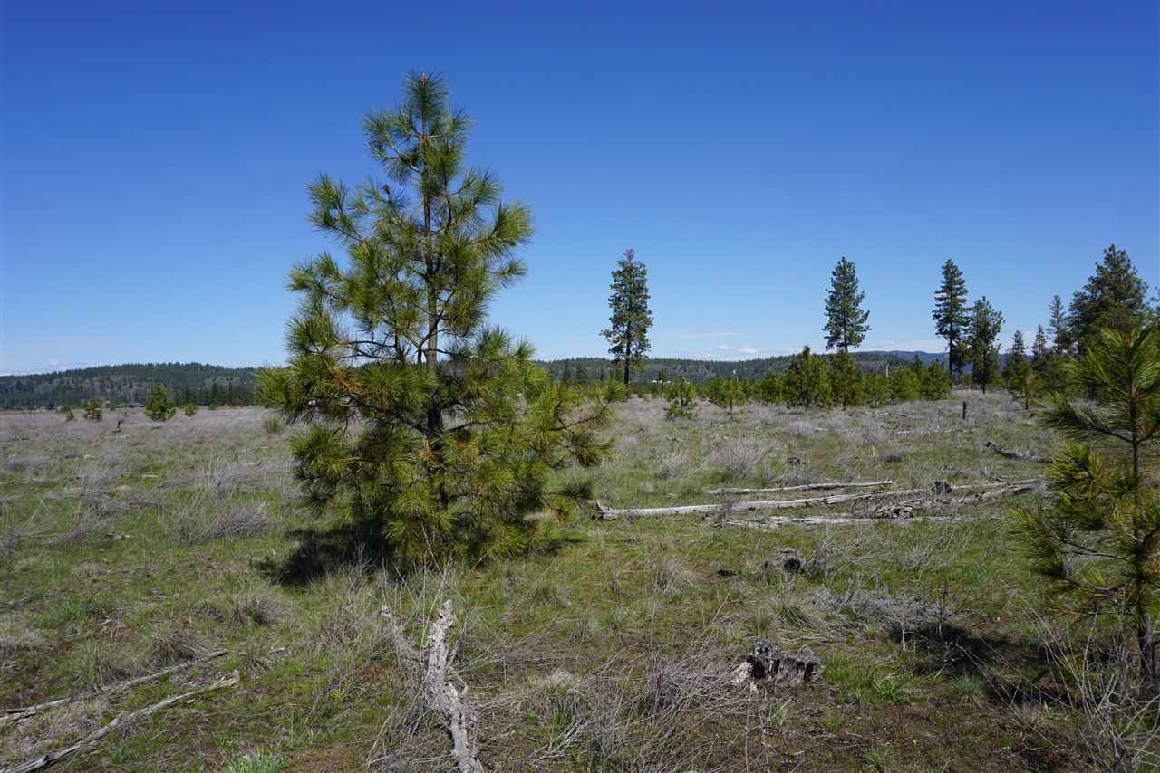 Xx27 Xx27 Garfield Road Spokane, WA 99224 - Photo 9 of 20