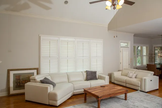 a living room with furniture and a potted plant
