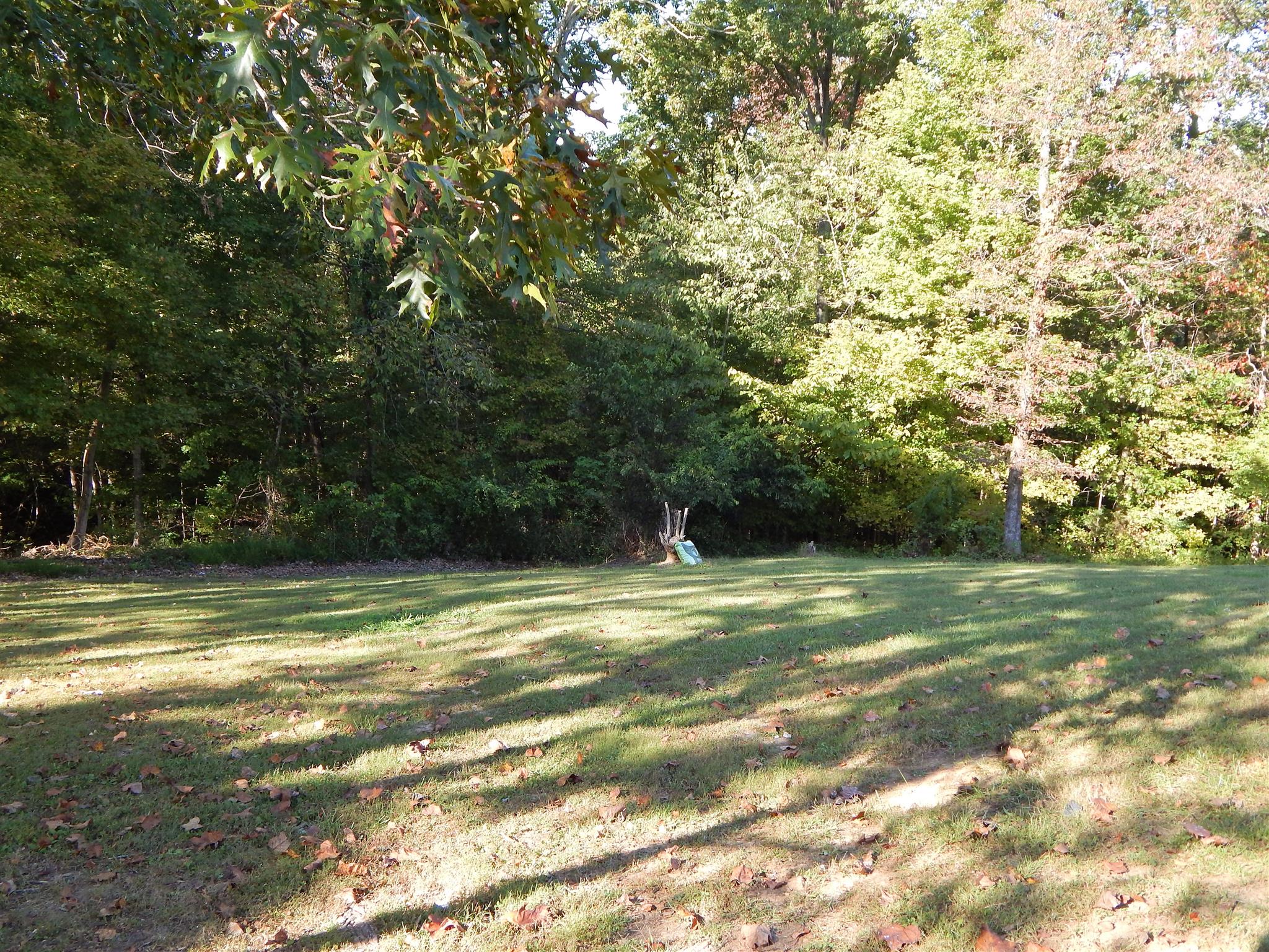 1212 Bumpus Mills Road Dover, TN 37058 - Photo 30 of 30 Gallery Image 30