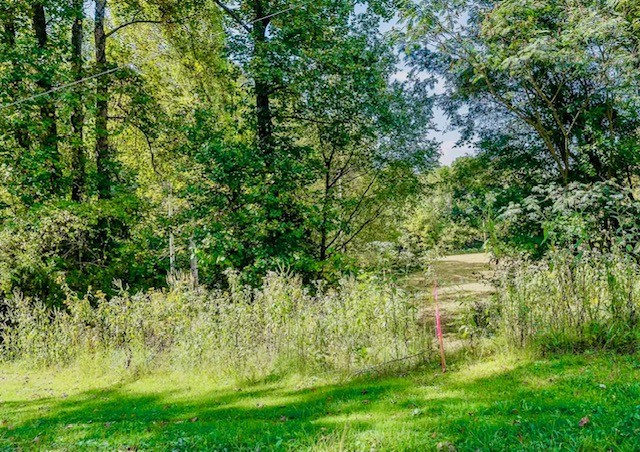 0 Bolestown Loop Alpine, TN 38543 - Photo 1 of 18