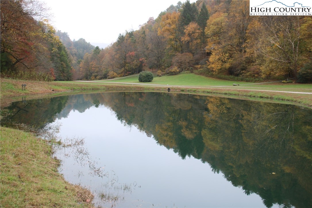 247 Hawkbill Road Ferguson, NC 28624 - Photo 21 of 25 a view of a lake in between two trees