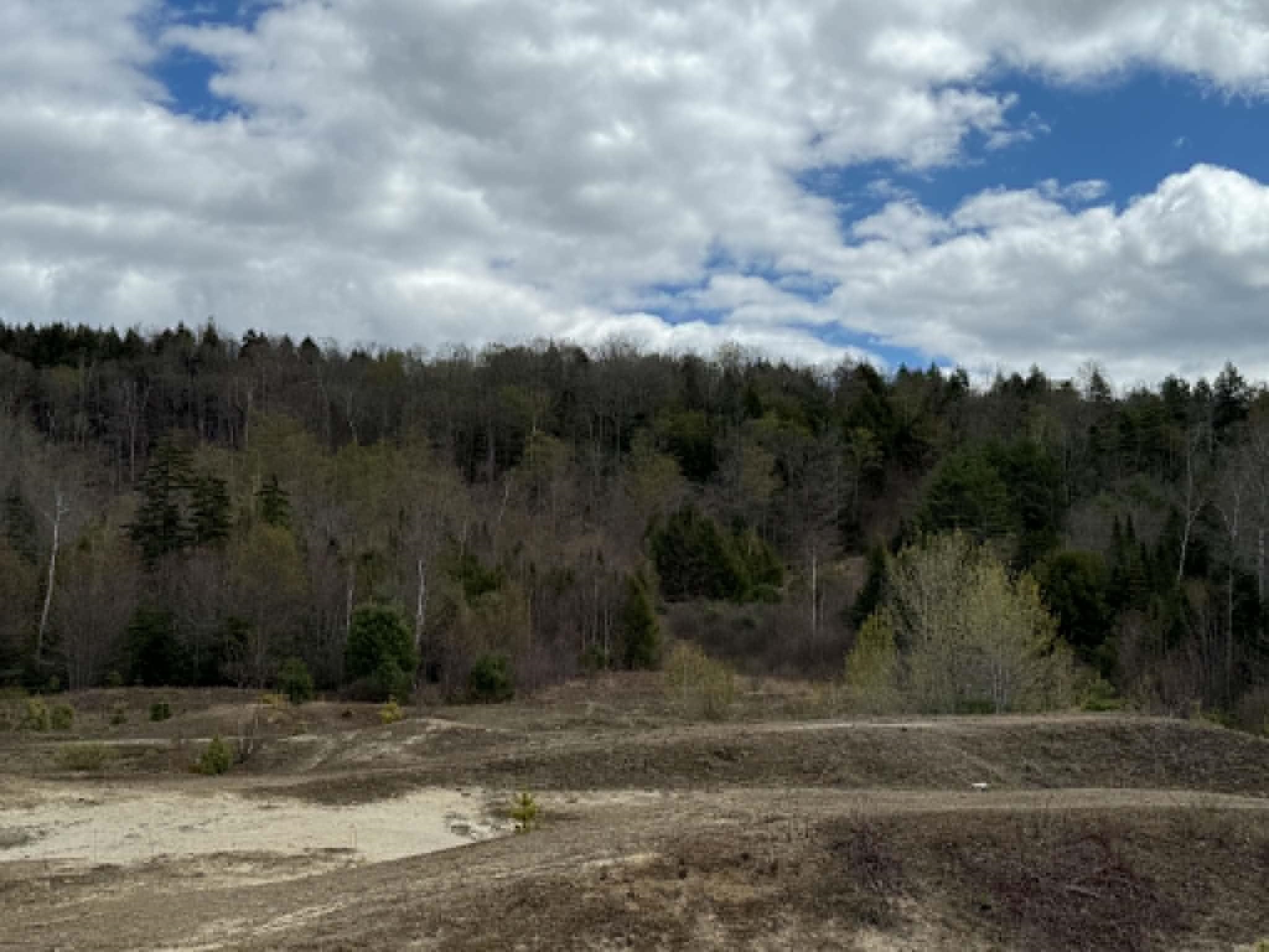 Lot 7 Bog Road Enfield, NH 03748 - Photo 2 of 5