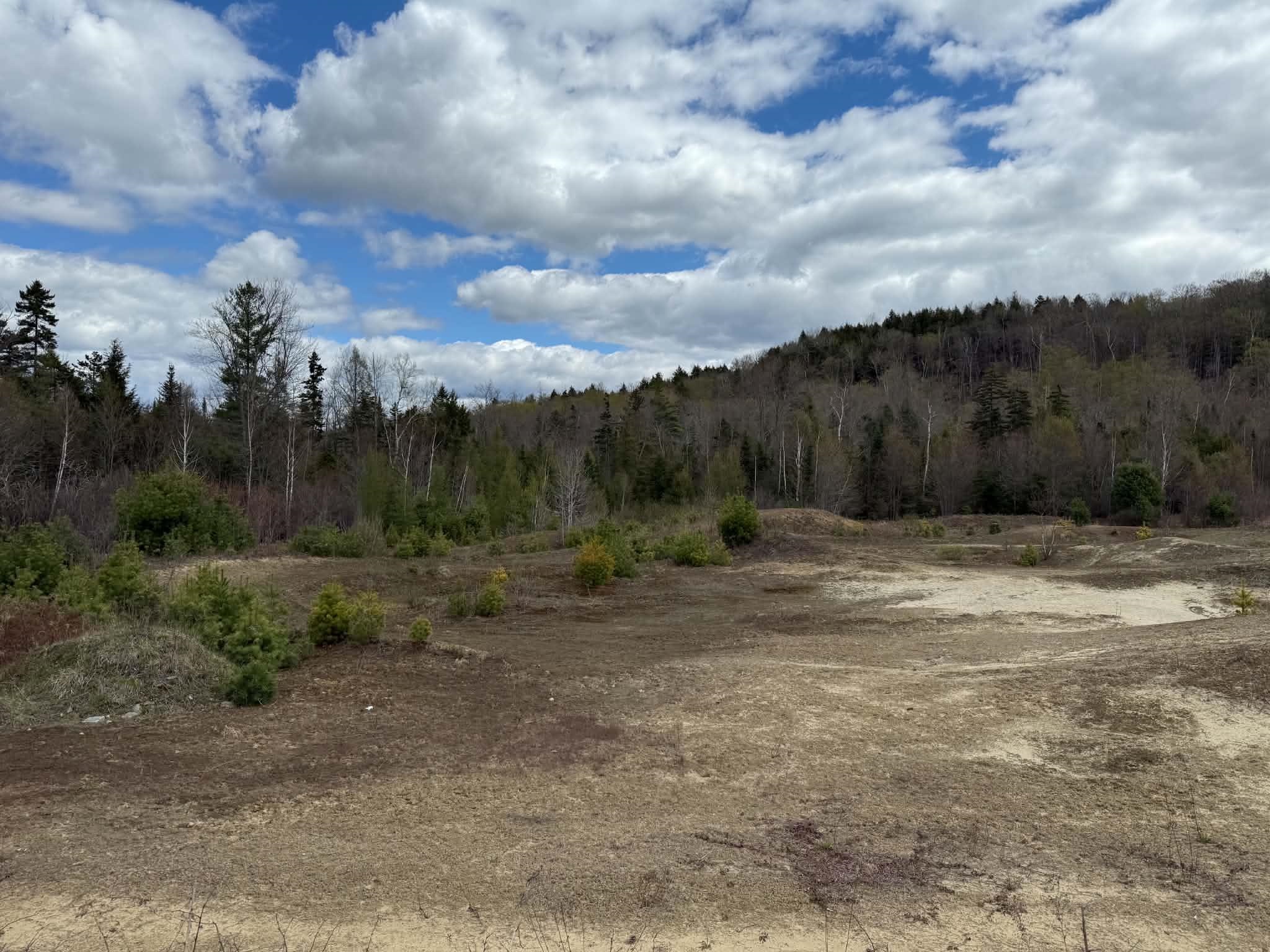 Lot 7 Bog Road Enfield, NH 03748 - Photo 5 of 5
