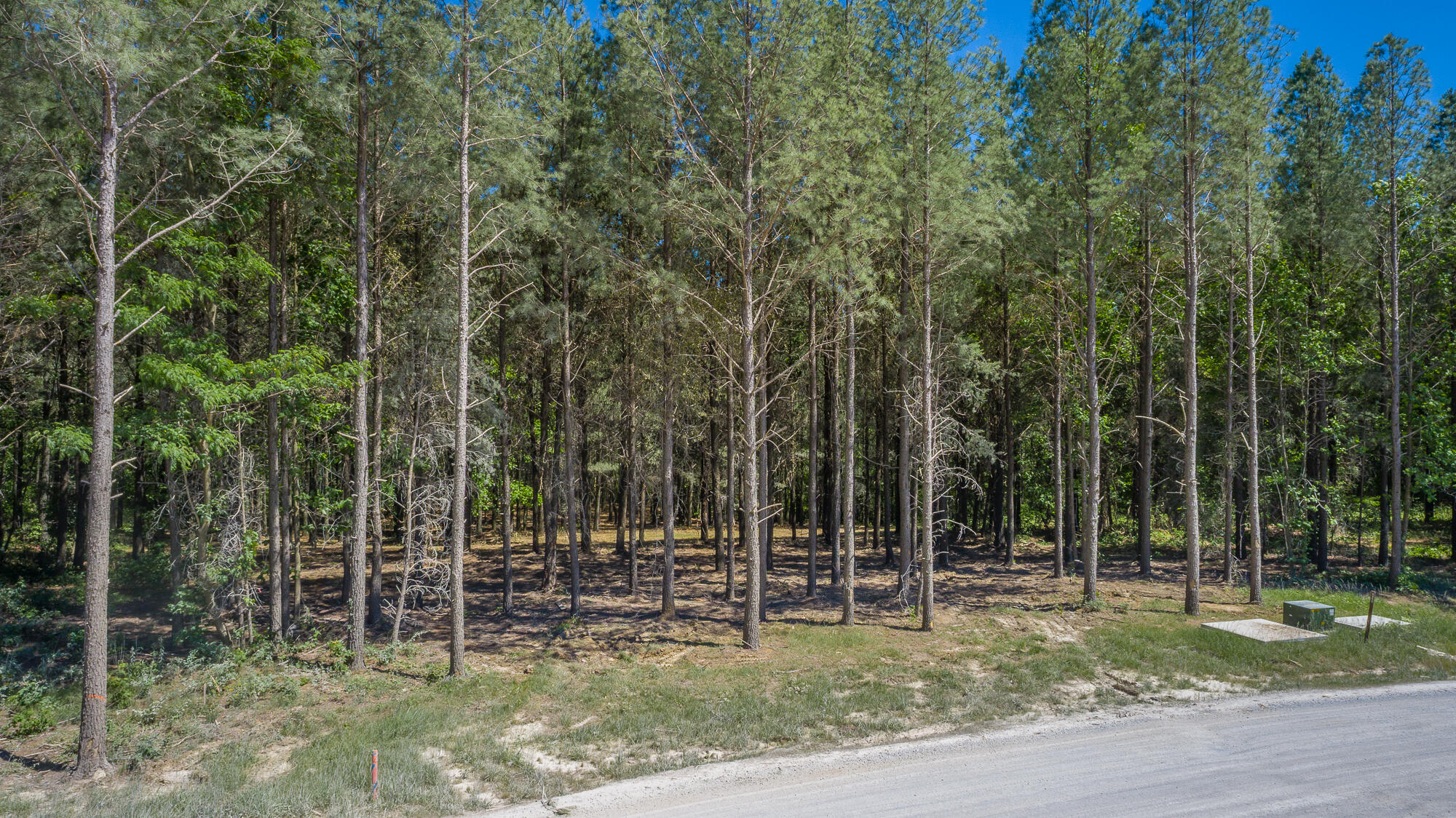 0 Split Rail Way, Unit 1349 Guild, TN 37340 - Photo 32 of 108 0 Split Rail Way - Lot 1349 HD-5