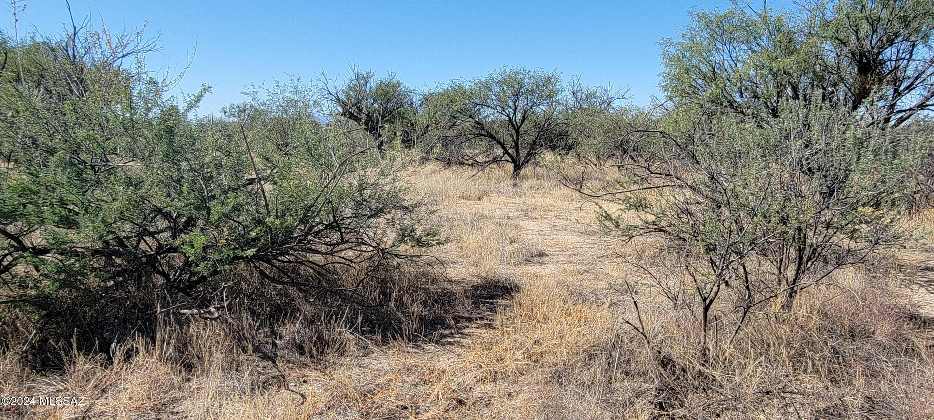 10-ac South Bell Road Benson, AZ 85602 - Photo 4 of 11 Gallery Image 4