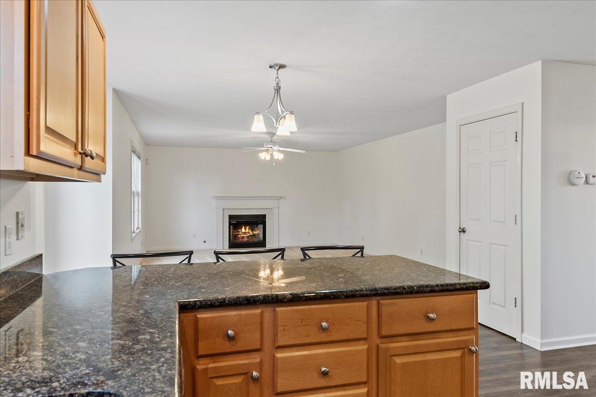 4113 Destiny Drive Springfield, IL 62712 - Photo 11 of 42