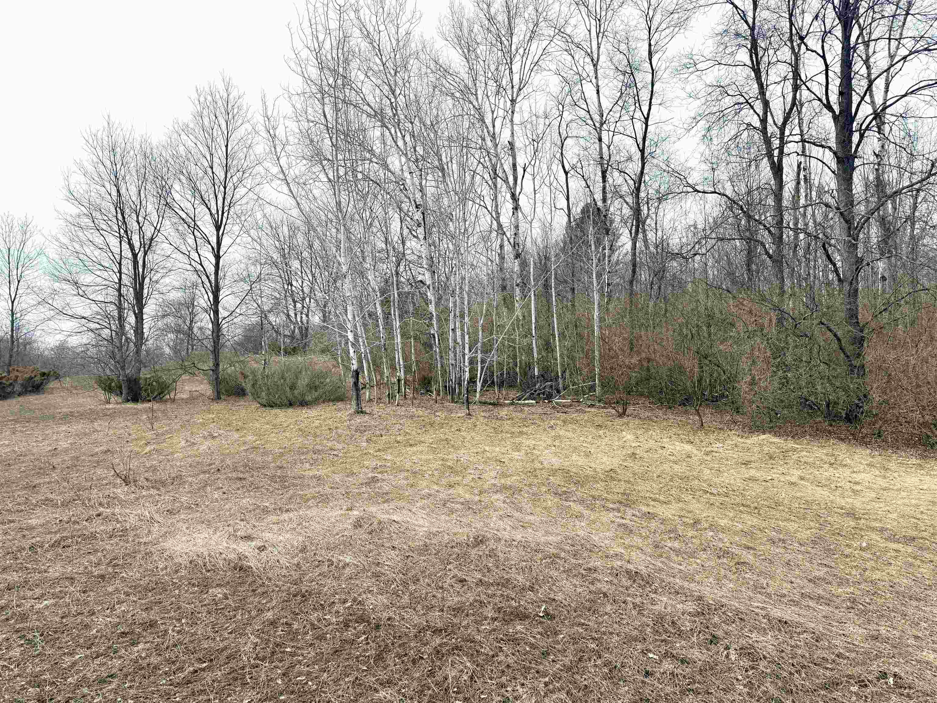 0 West Trumbull Road, Unit LOT A Maple City, MI 49664 - Photo 18 of 25
