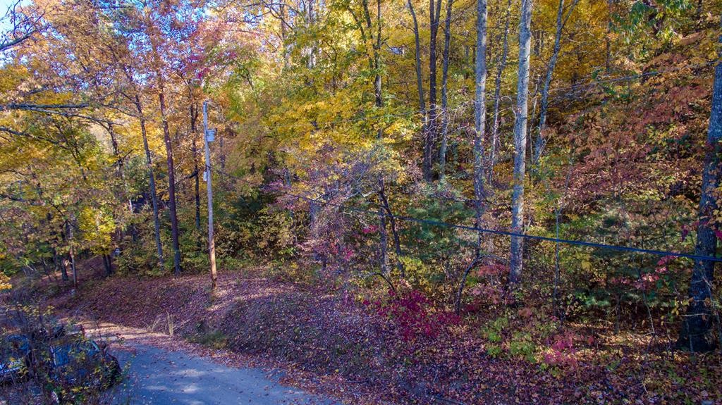 10 Shagbark Hickory Ridge Sevierville, TN 37862 - Photo 7 of 28 Gallery Image 7