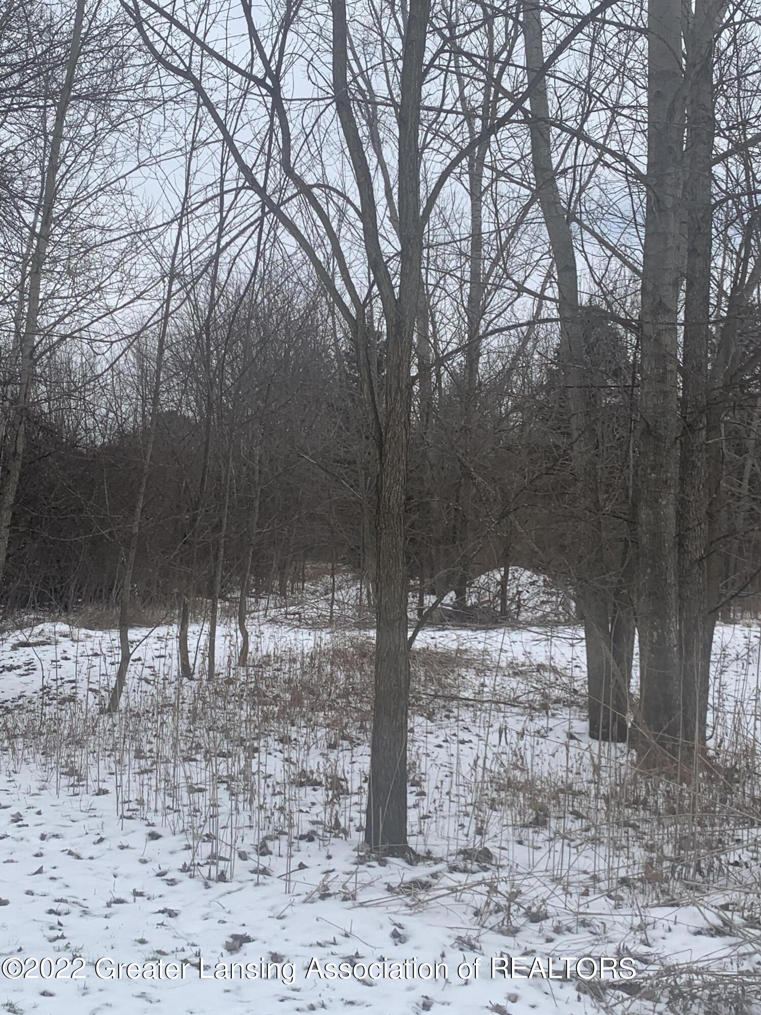 10486 Royston Road Grand Ledge, MI 48837 - Photo 2 of 10 IMG_8568