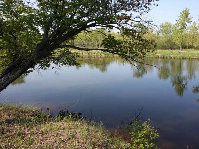 6869 Bridge Road Rhinelander, WI 54501 - Photo 17 of 20 Gallery Image 17