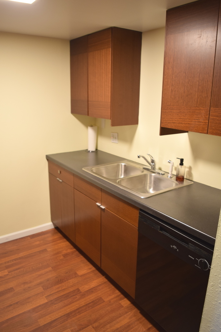 1 Renaissance Place, Unit 207 Palatine, IL 60067 - Photo 4 of 17