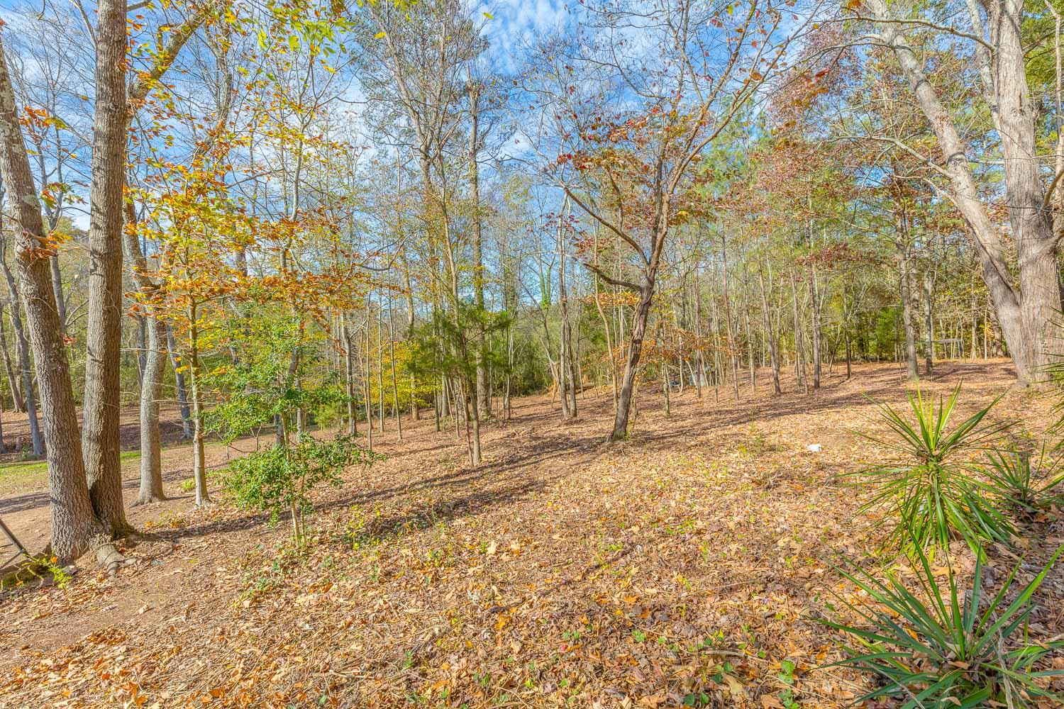 4621 Keith Road Ringgold, GA 30736 - Photo 45 of 50 4621 Keith Road HD-57
