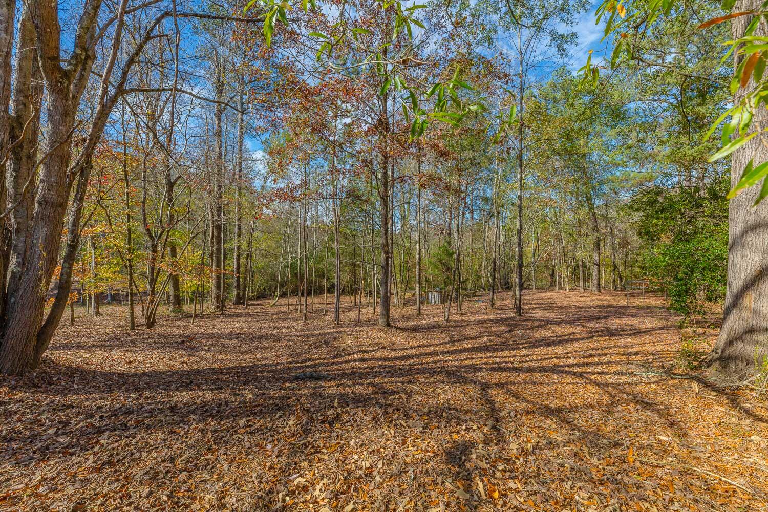 4621 Keith Road Ringgold, GA 30736 - Photo 46 of 50 4621 Keith Road HD-55
