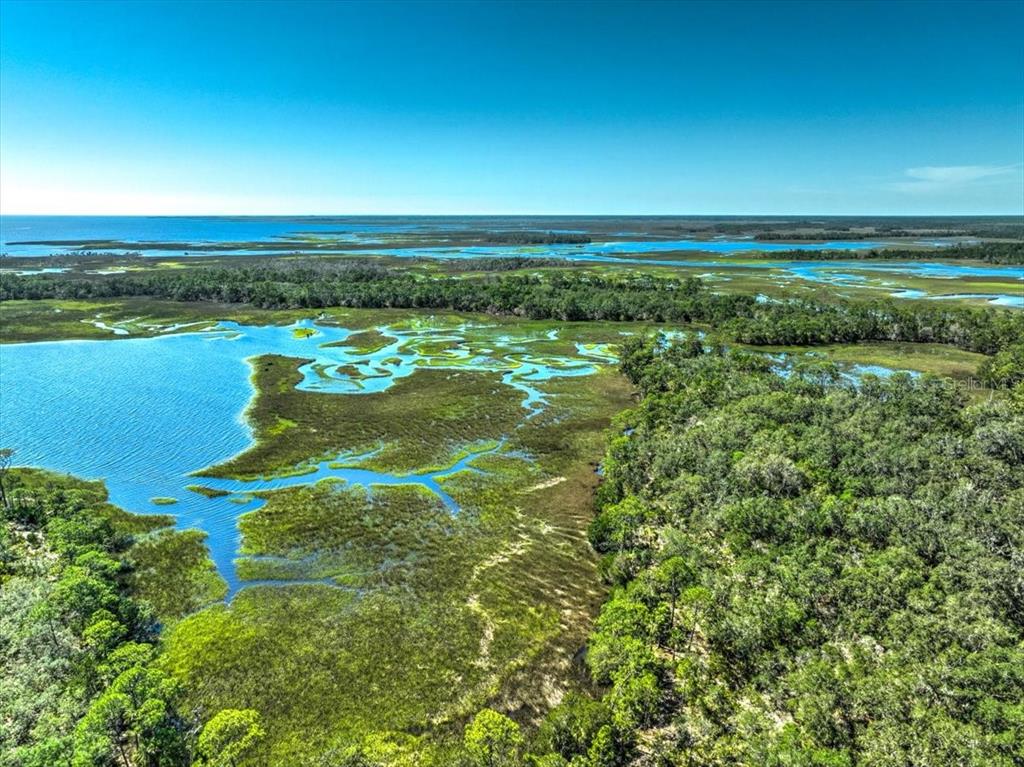0 Clark Island Cedar Key, FL 32625 - Photo 10 of 24