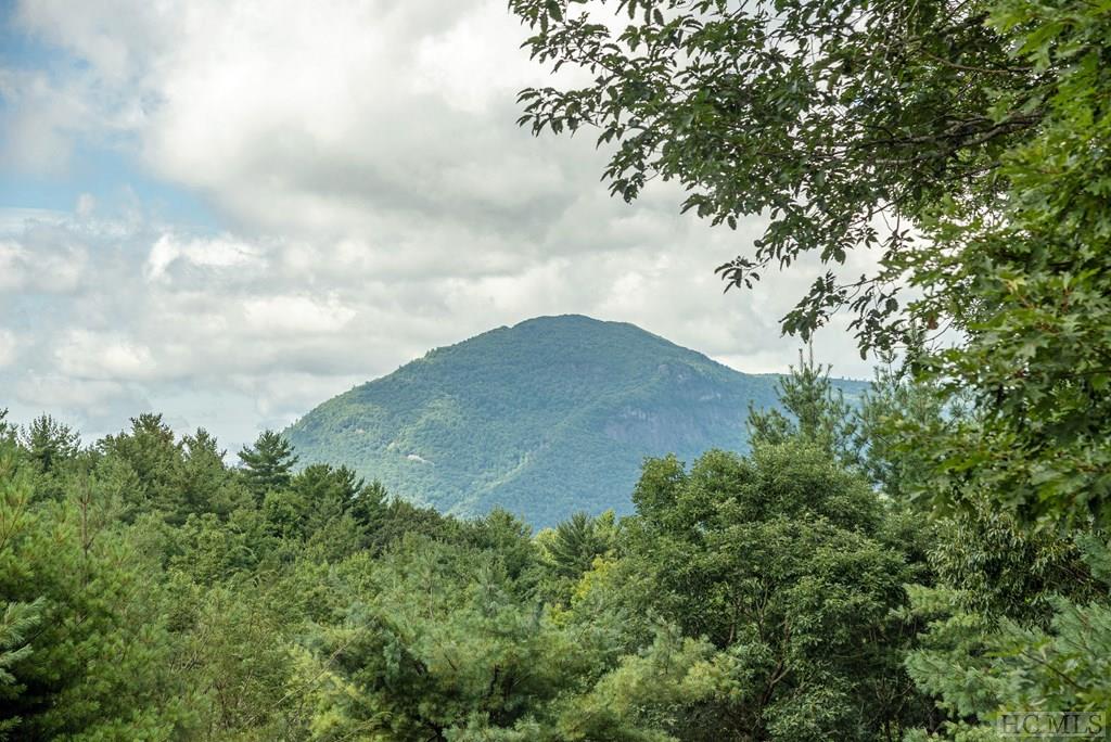 1695 Big Sheepcliff Road Cashiers, NC 28717 - Photo 22 of 74 Gallery Image 22