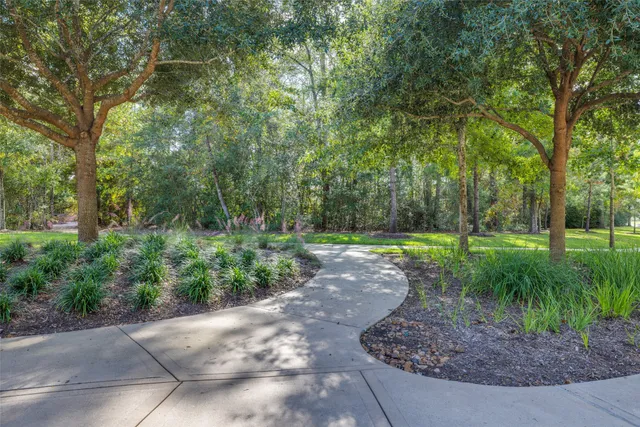 a view of a park with large trees