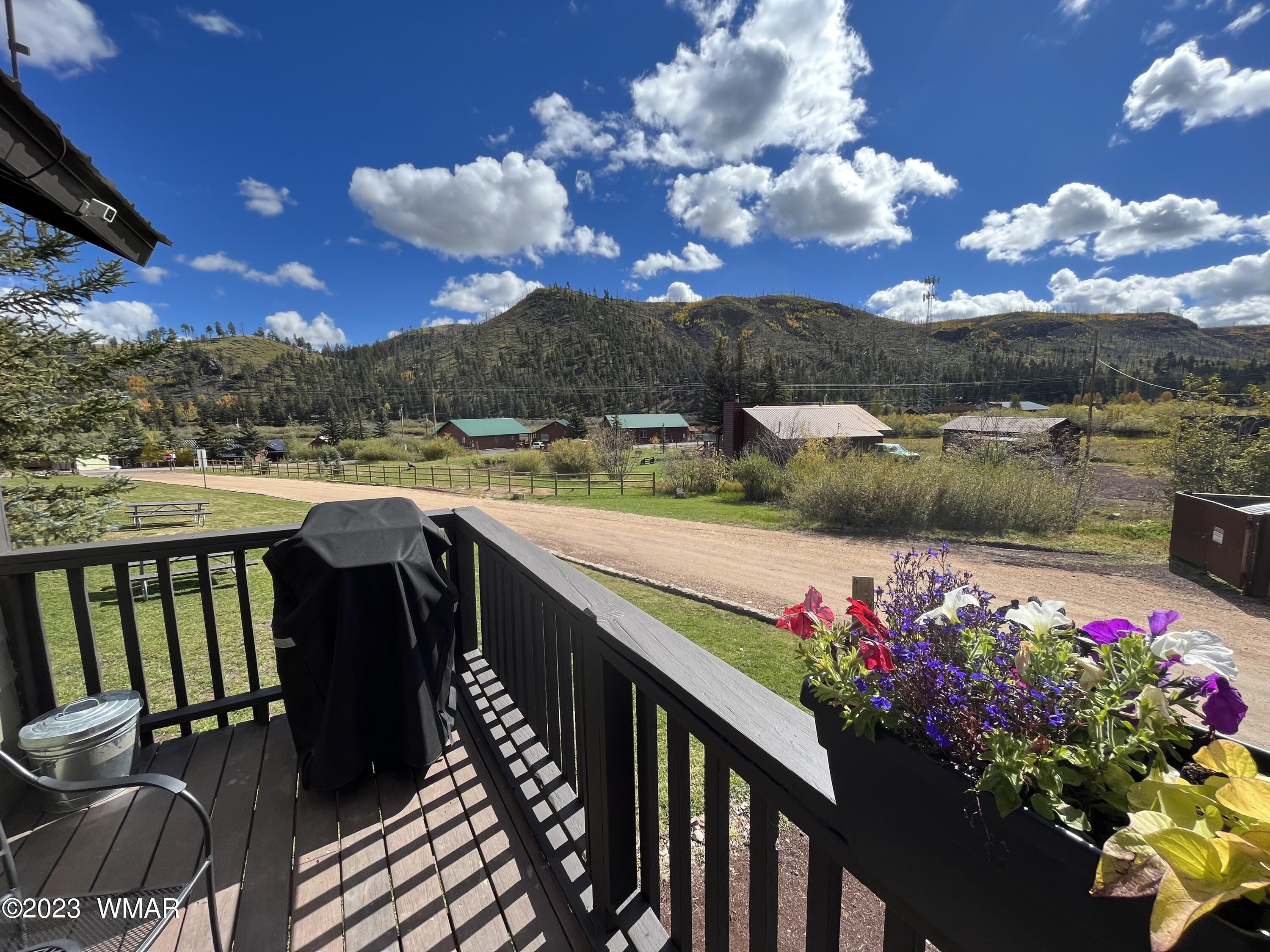 87 Main Street, Unit 4 Greer, AZ 85927 - Photo 2 of 17