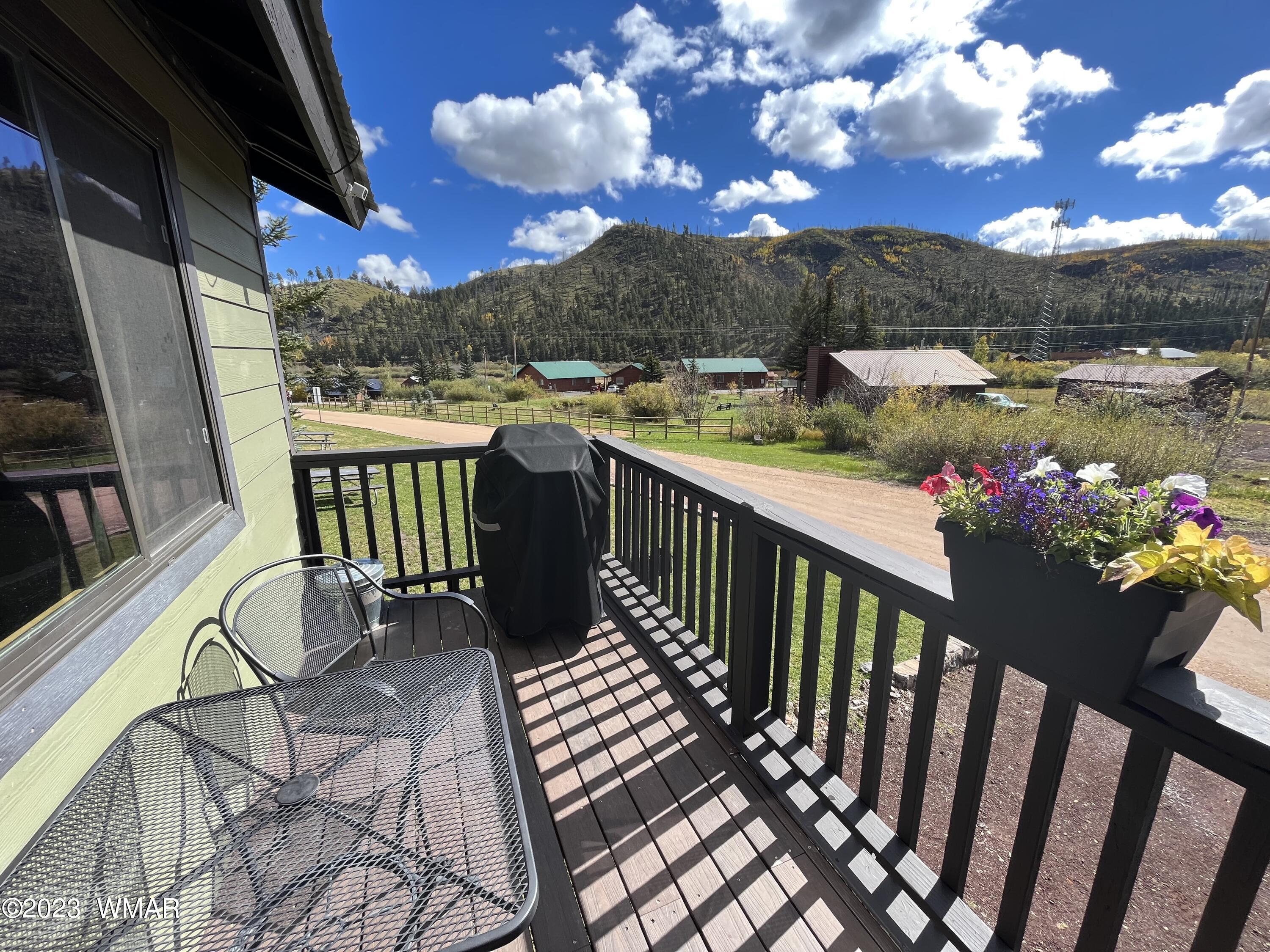 87 Main Street, Unit 4 Greer, AZ 85927 - Photo 4 of 17