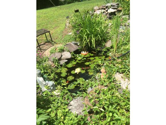 79 Ridgewood Circle Epsom, NH 03234 - Photo 25 of 31