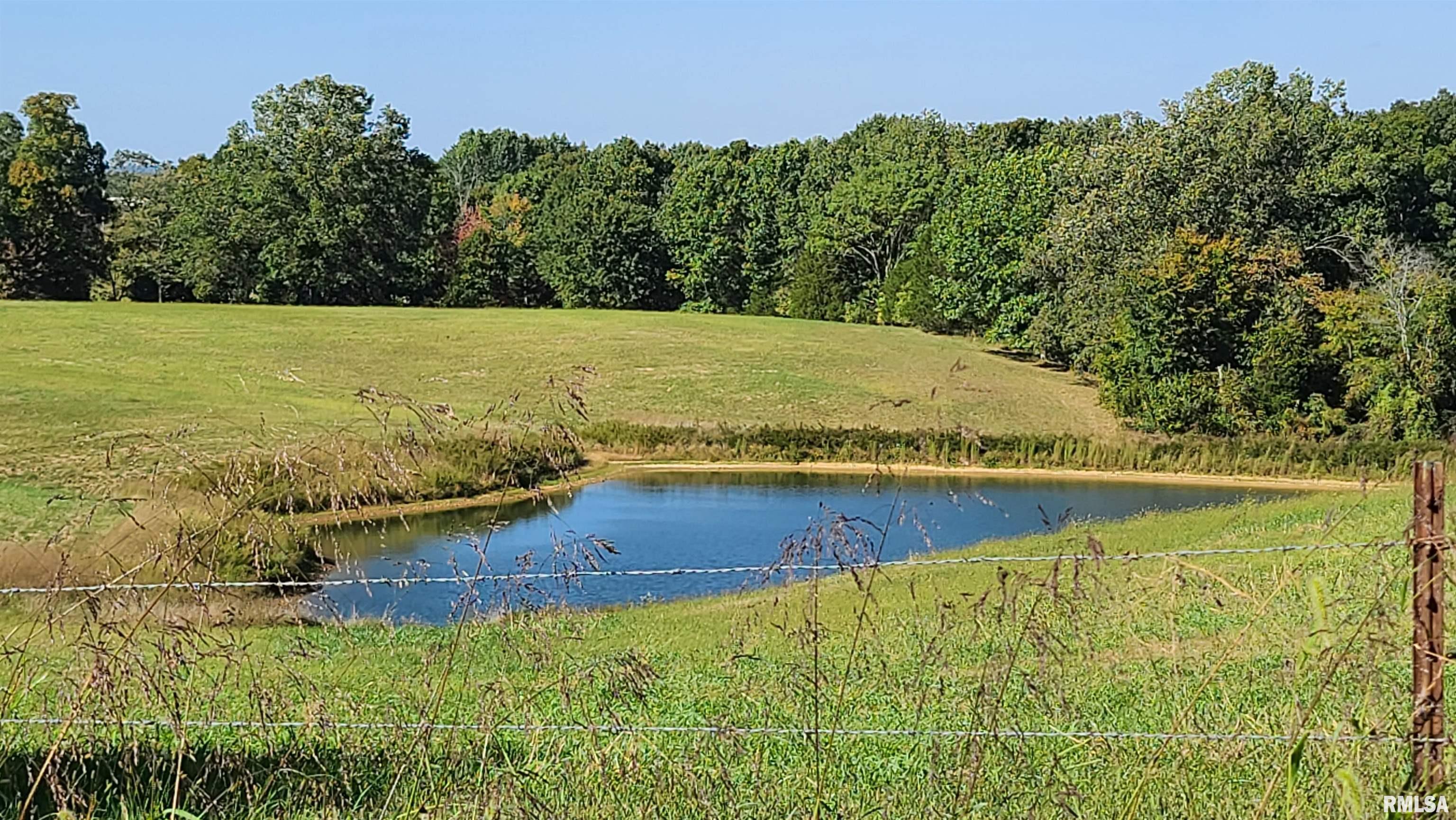 98 Bynum Road Stonefort, IL 62987 - Photo 3 of 47