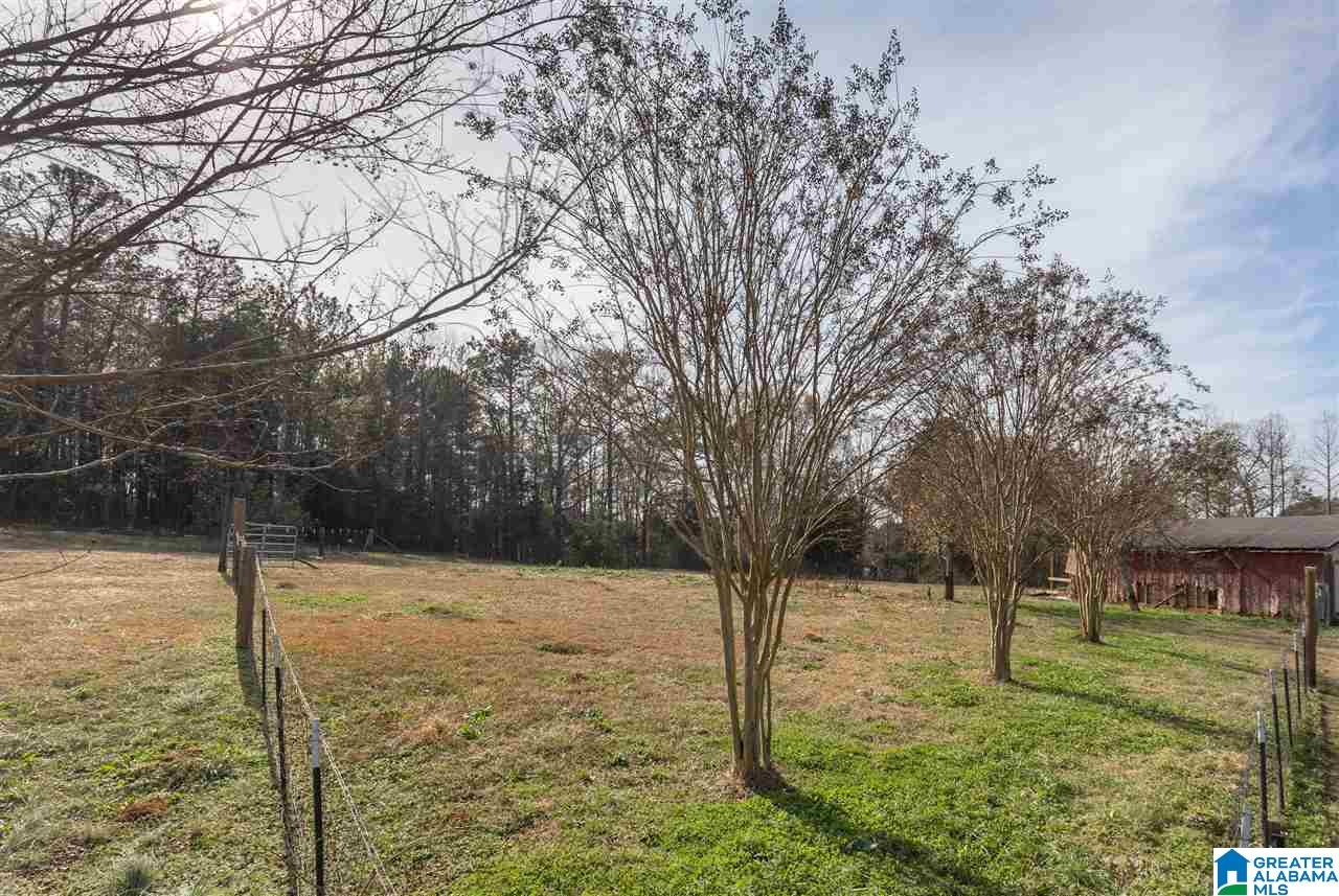 1933 Peaceful Valley Road Eastaboga, AL 36260 - Photo 35 of 40