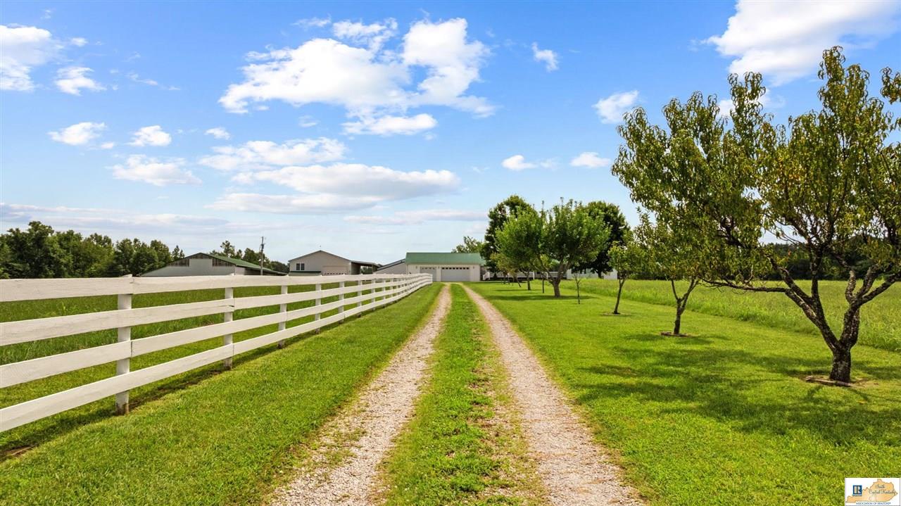 3003 Iron Mountain Road Center, KY 42214 - Photo 20 of 91 Gallery Image 20