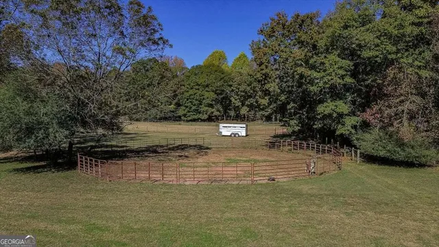 a view of a tree with lots of trees