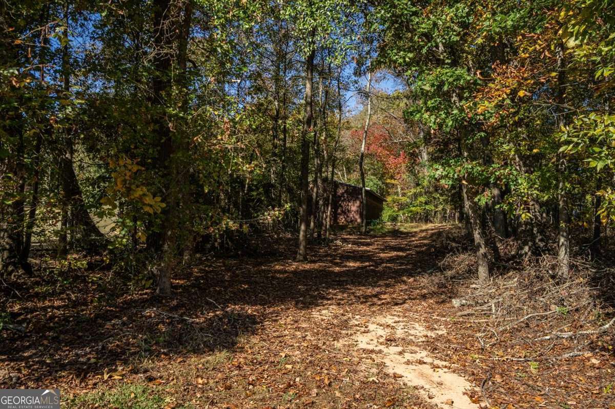 161 Archer Grove Road Athens, GA 30607 - Photo 45 of 56 a view of a tree with lots of trees