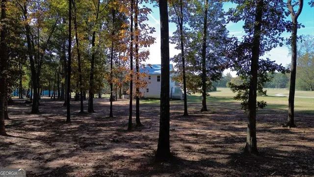 a view of a back yard of the house