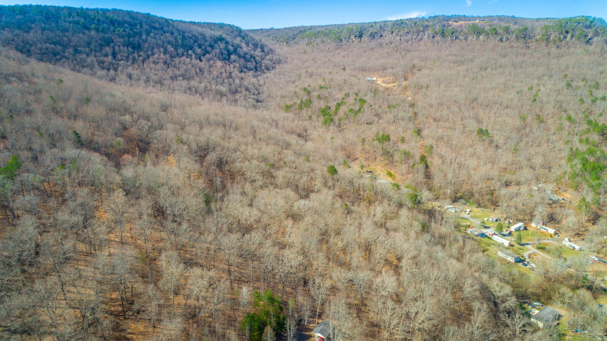 0 Waterfall Road Sequatchie, TN 37374 - Photo 4 of 31 Gallery Image 4