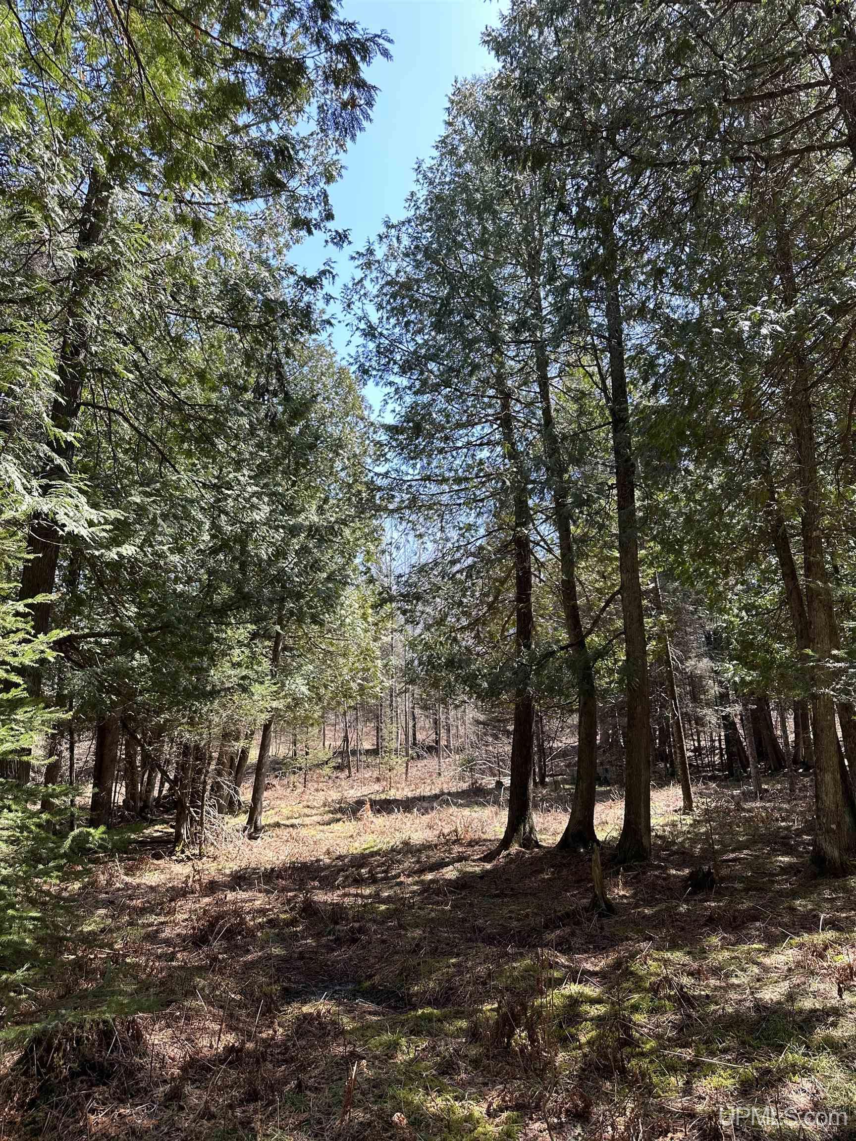 69 Old 69 Road Crystal Falls, MI 49920 - Photo 20 of 21
