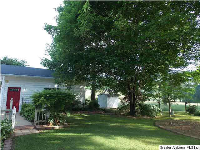 702 Chestnut Street Oneonta, AL 35121 - Photo 27 of 31