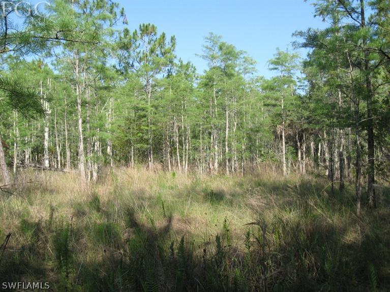 20561 Carter Road Estero, FL 33928 - Photo 13 of 15 Gallery Image 13