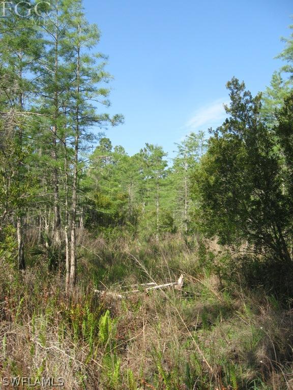 20561 Carter Road Estero, FL 33928 - Photo 14 of 15 Gallery Image 14