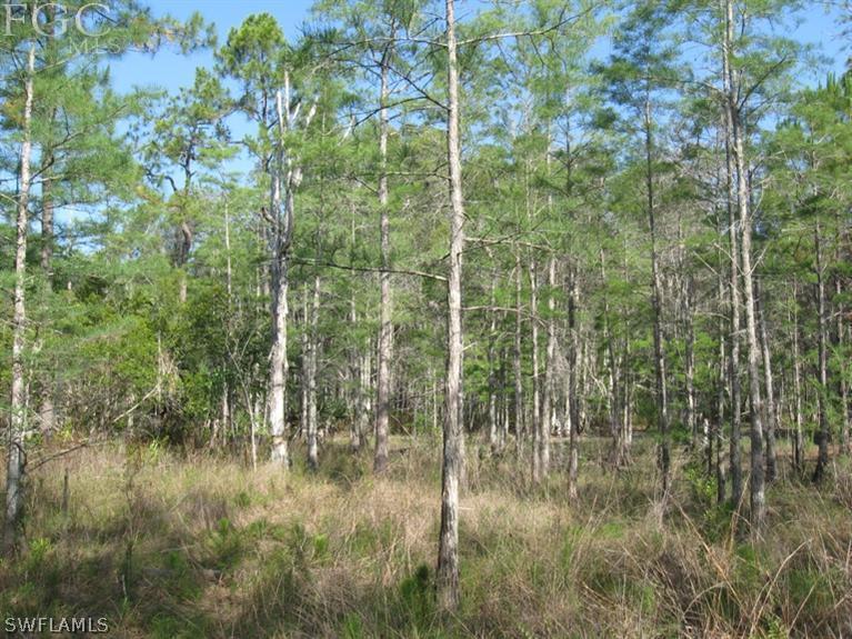 20561 Carter Road Estero, FL 33928 - Photo 9 of 15 Gallery Image 9
