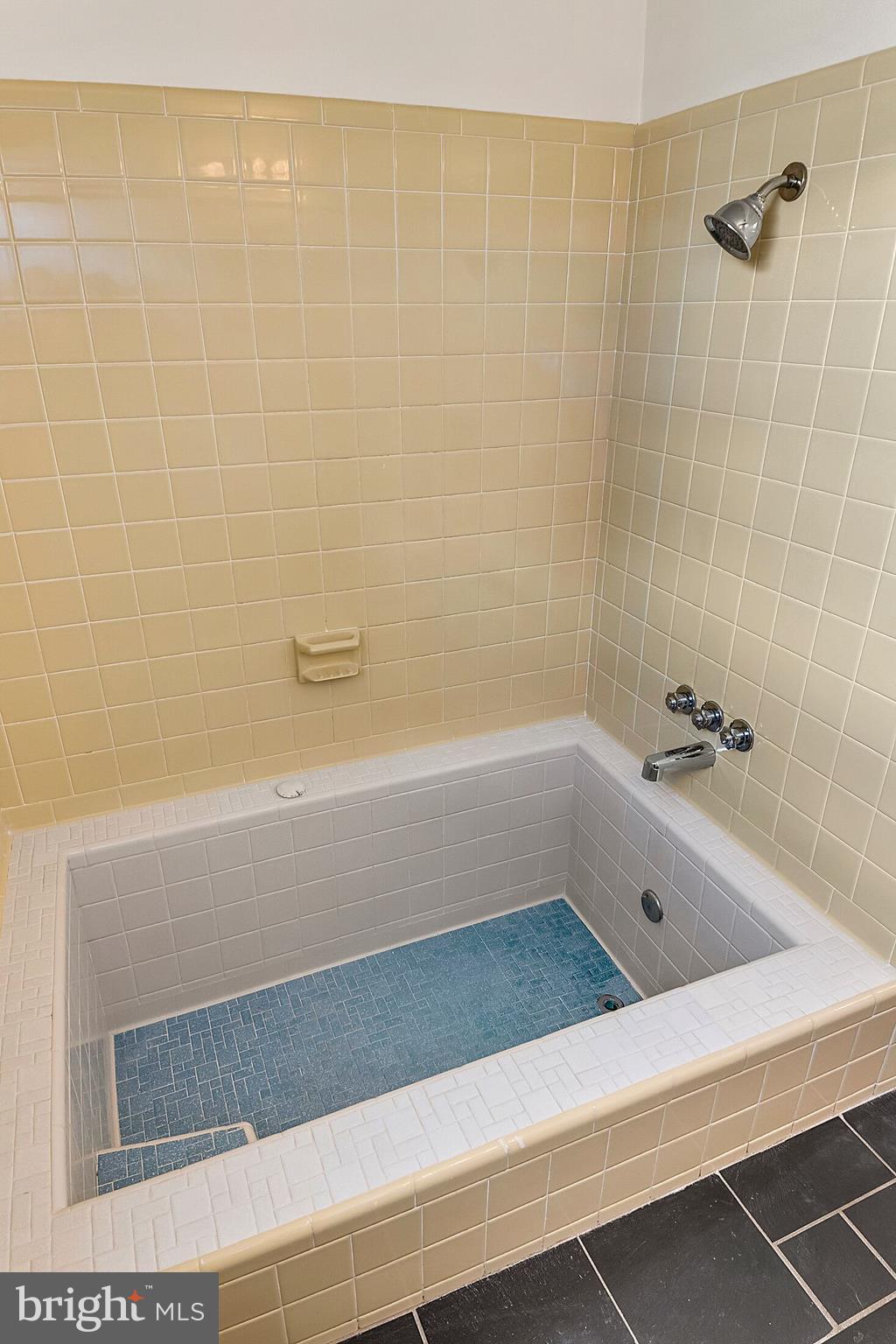 9861 Meetze Road Midland, VA 22728 - Photo 29 of 50 first floor bathroom - view 2