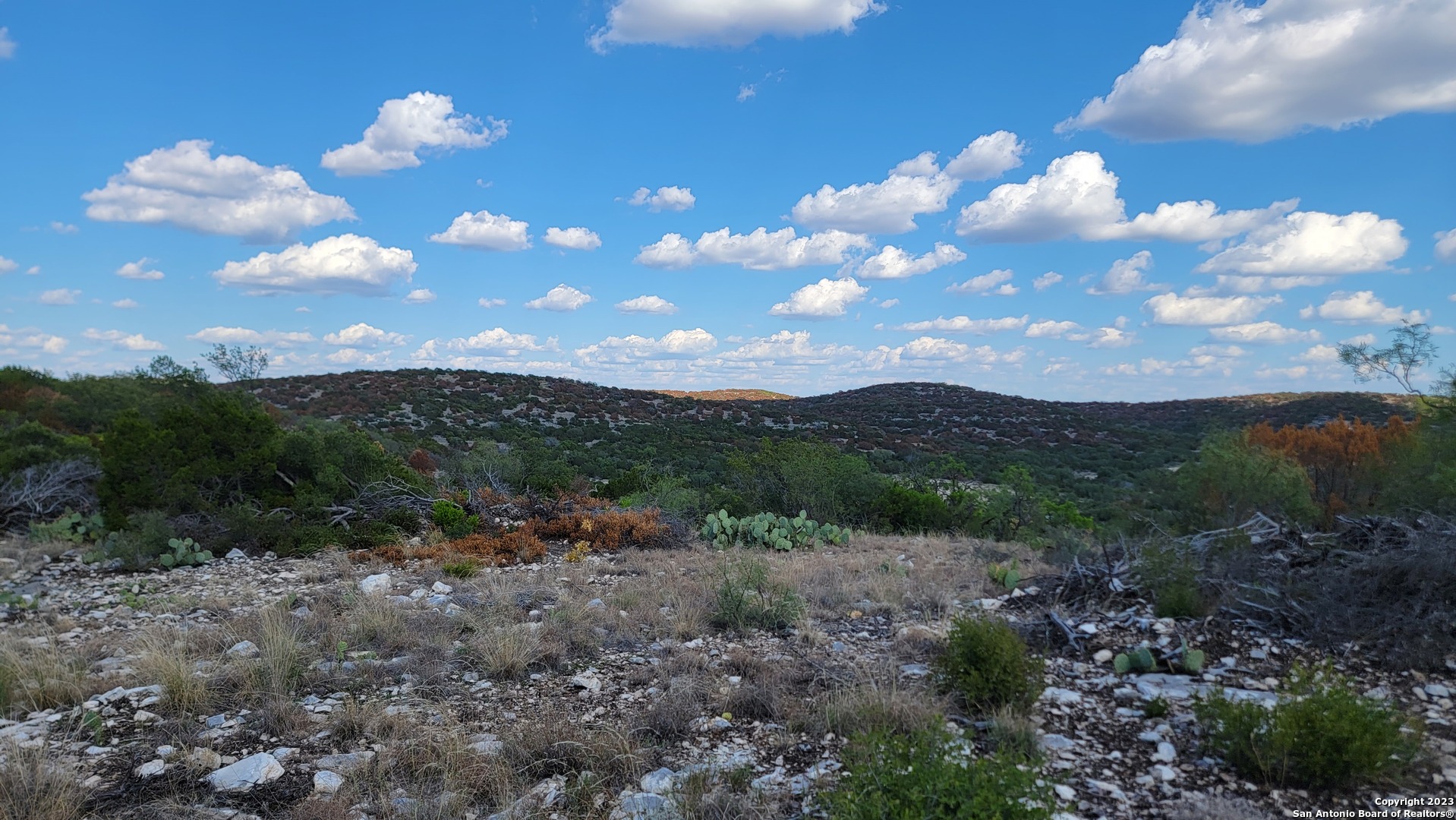 29 Oak Bend Rocksprings, TX 78880 - Photo 14 of 27 a view of a bunch of trees in middle of forest