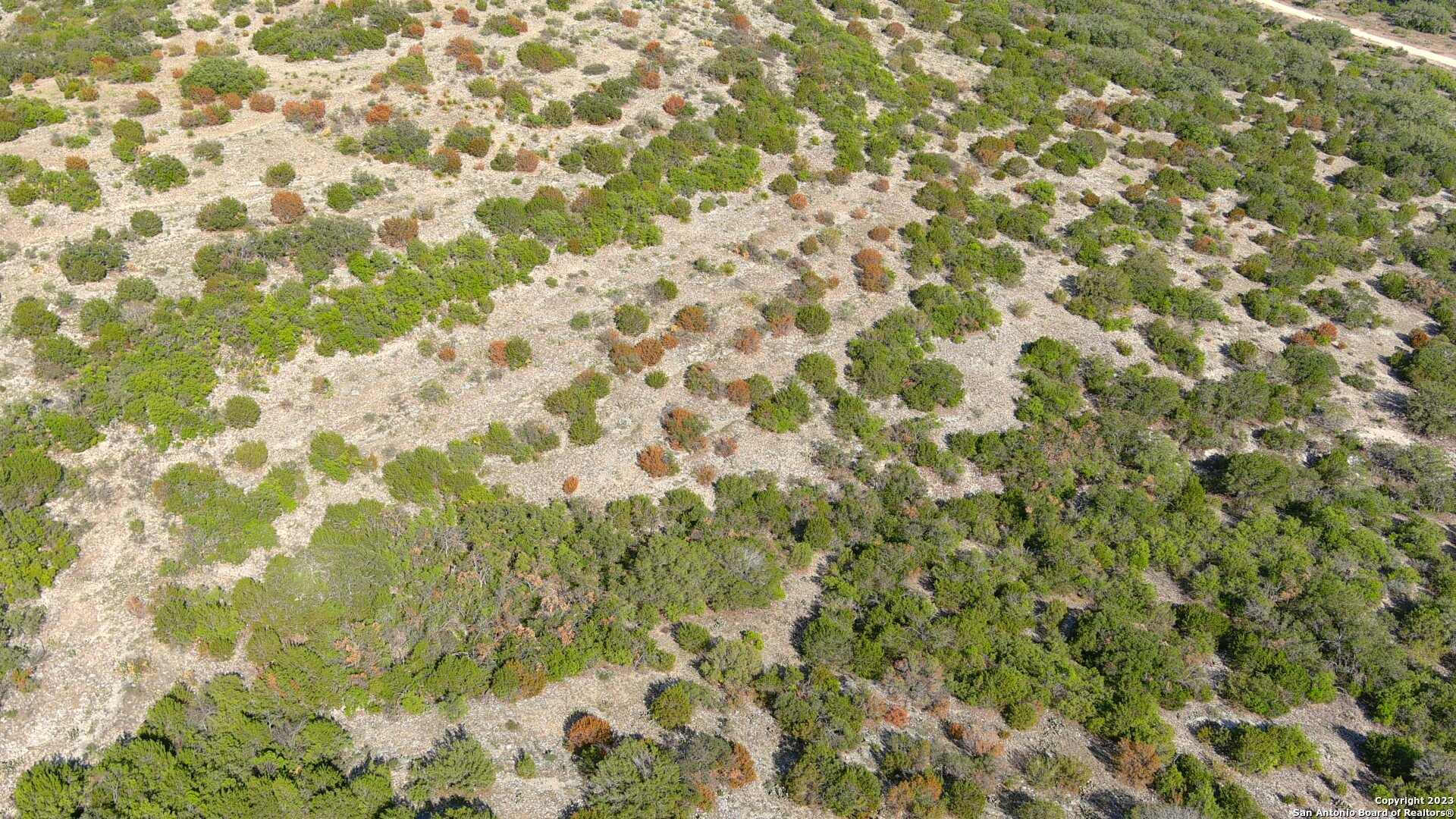 29 Oak Bend Rocksprings, TX 78880 - Photo 18 of 27 a close up of a plant with a plant