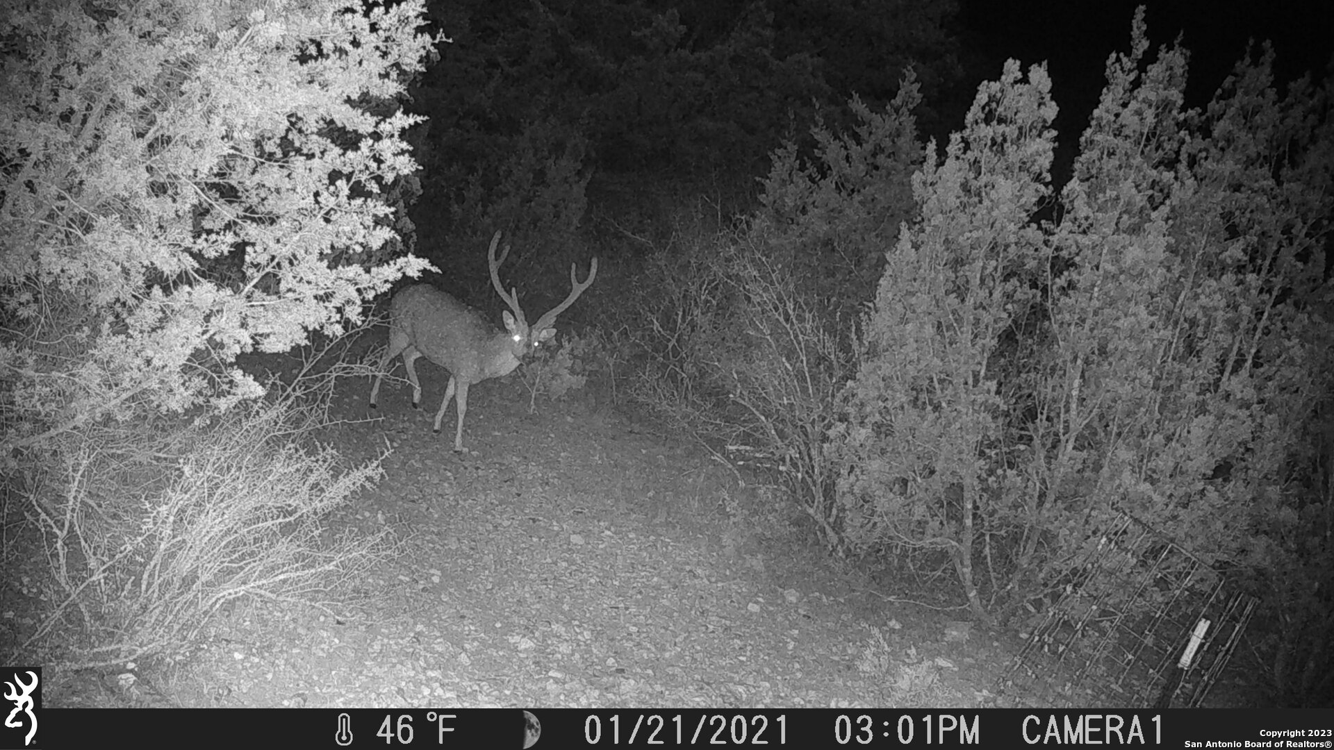 29 Oak Bend Rocksprings, TX 78880 - Photo 19 of 27 a view of a backyard of the house