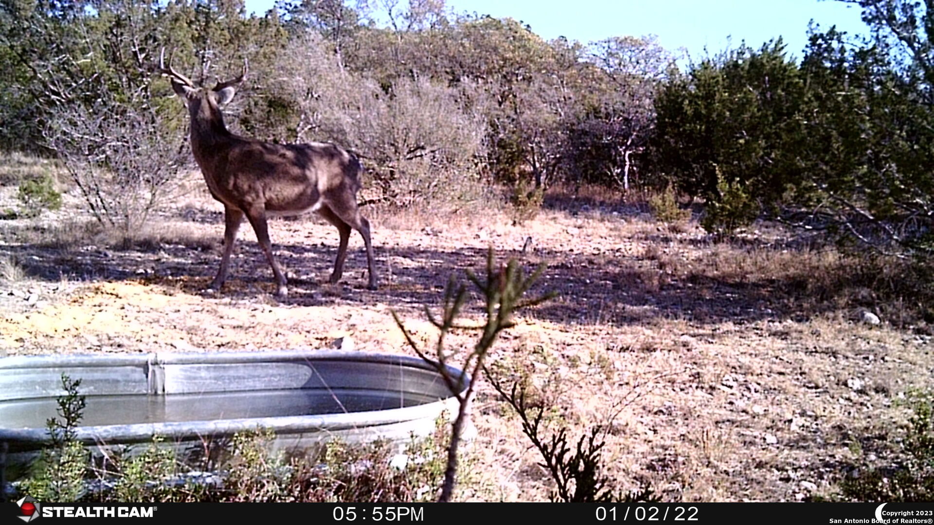 29 Oak Bend Rocksprings, TX 78880 - Photo 20 of 27 a view of a yard with large trees