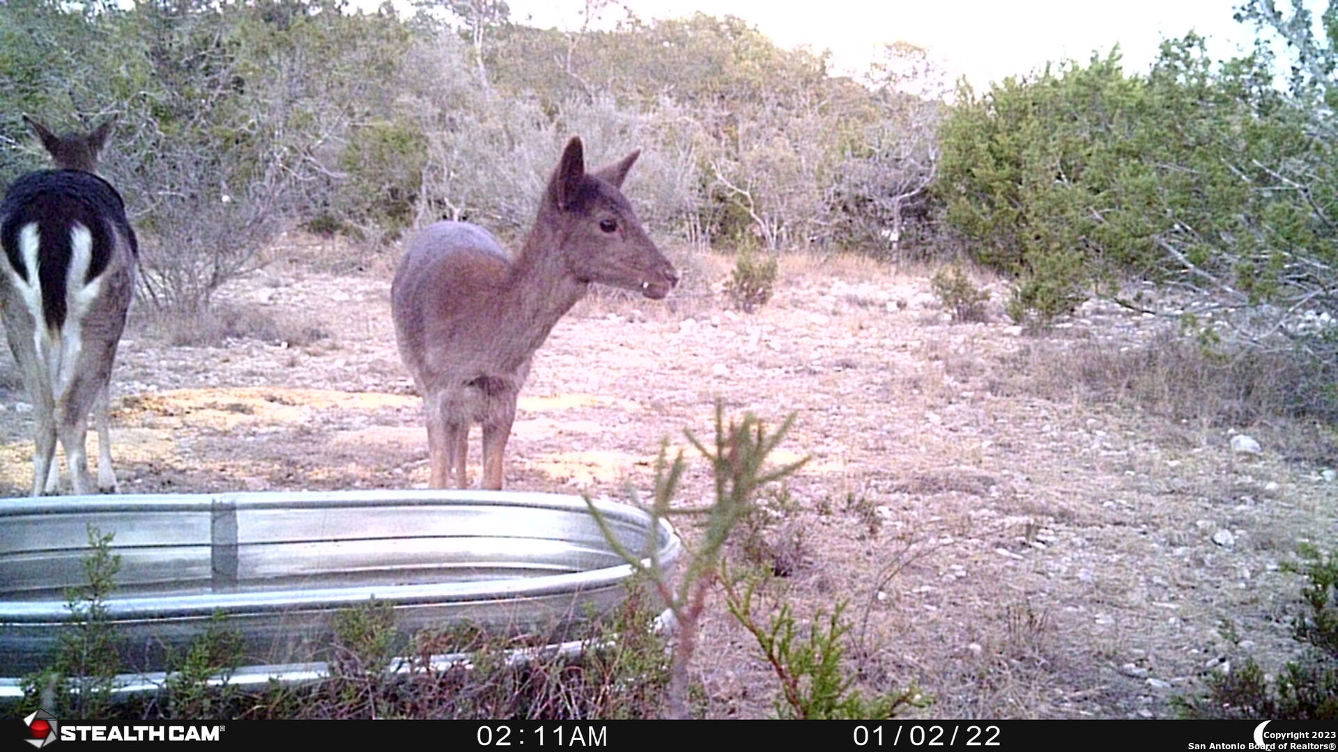 29 Oak Bend Rocksprings, TX 78880 - Photo 21 of 27 a view of sky from window