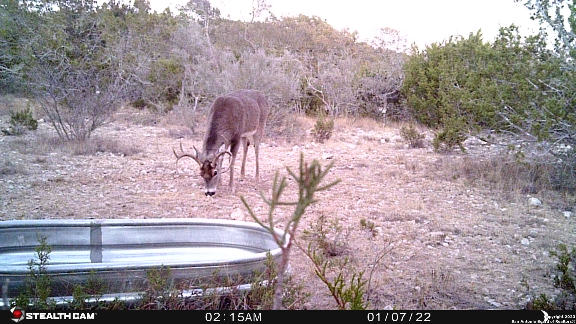 29 Oak Bend Rocksprings, TX 78880 - Photo 22 of 27 a view of a yard with an outdoor seating