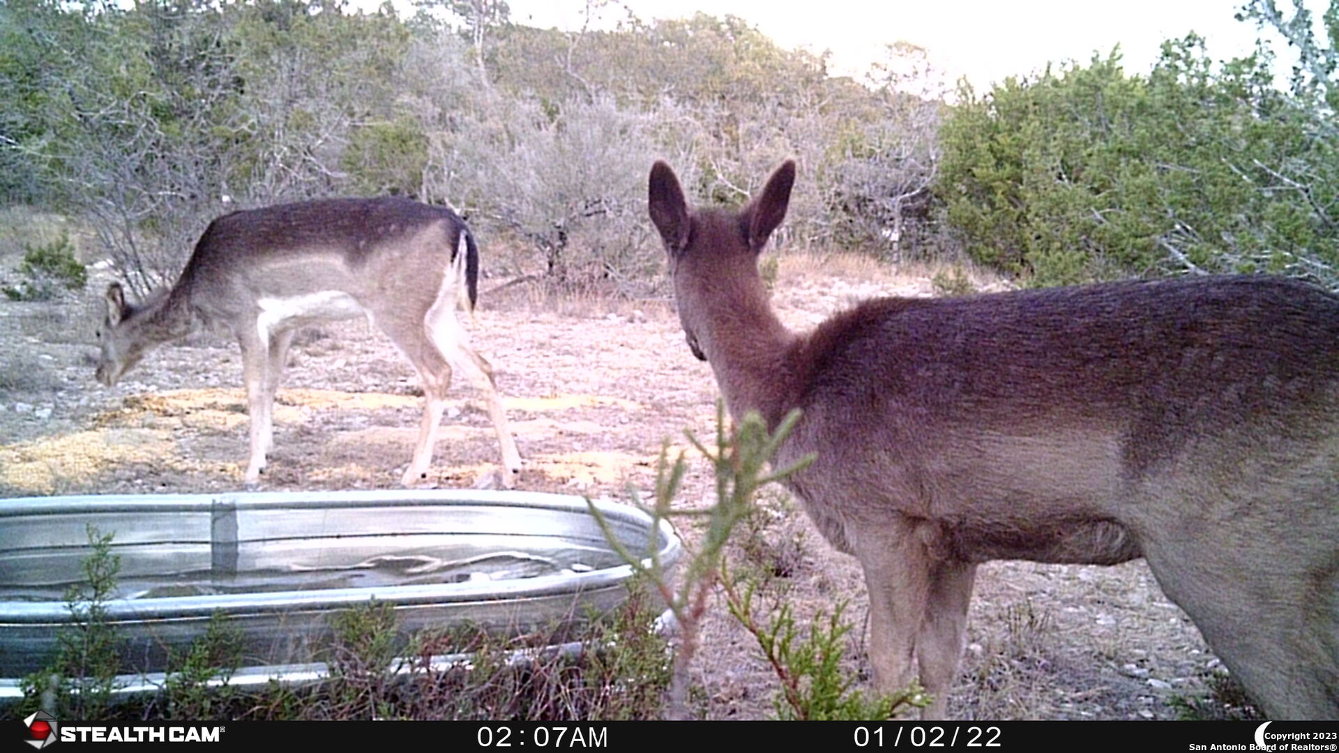 29 Oak Bend Rocksprings, TX 78880 - Photo 24 of 27 a view of a balcony with chair and table