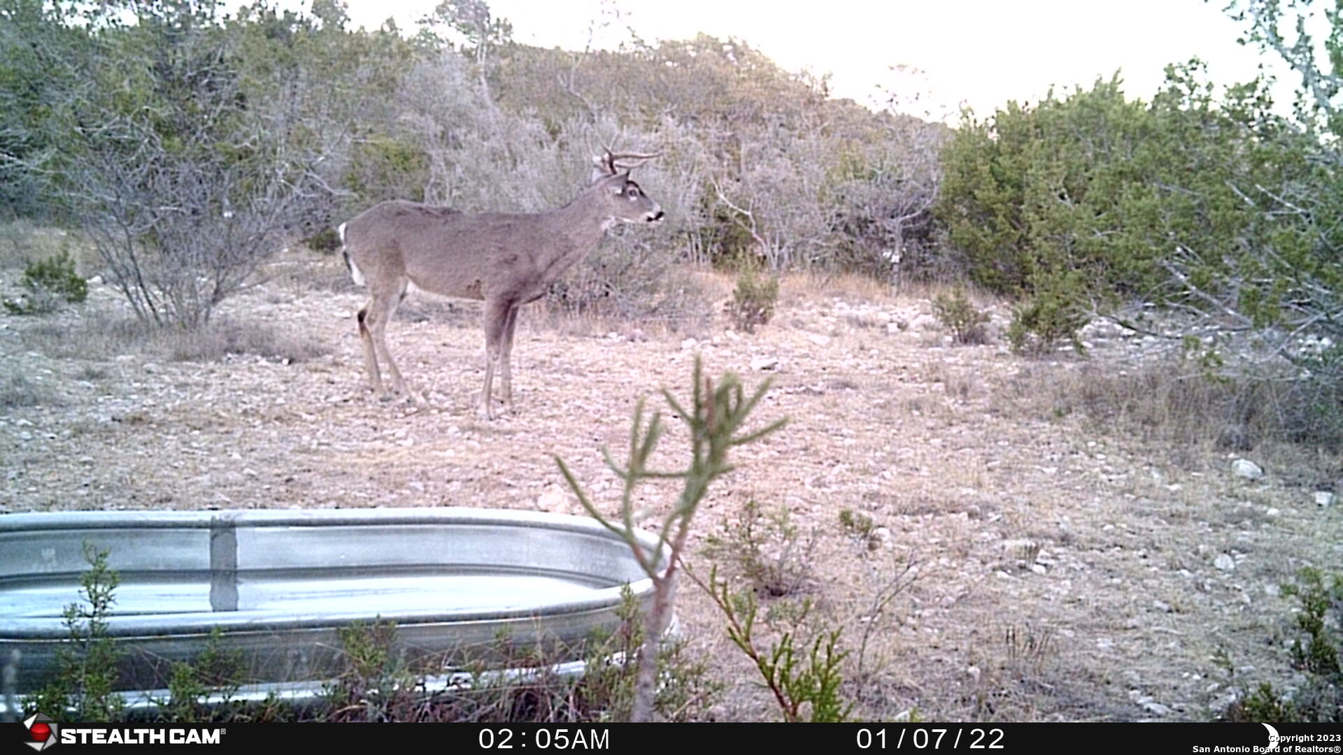 29 Oak Bend Rocksprings, TX 78880 - Photo 25 of 27 a view of a yard with wooden fence